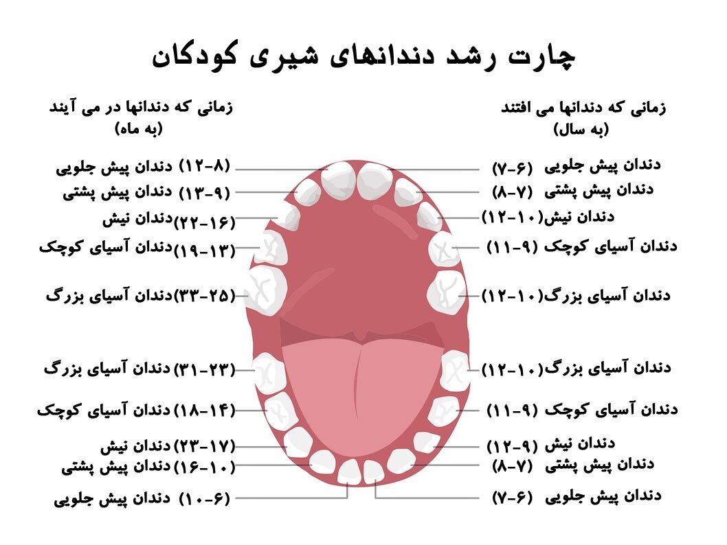 اهمیت دندان شیری و تاثیر آنها روی دندان های دائمی